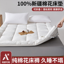 �¿�A��H�w��ɫ����ɫ���ø߶ˆ��p���޻����|�ӿ��ۯB������