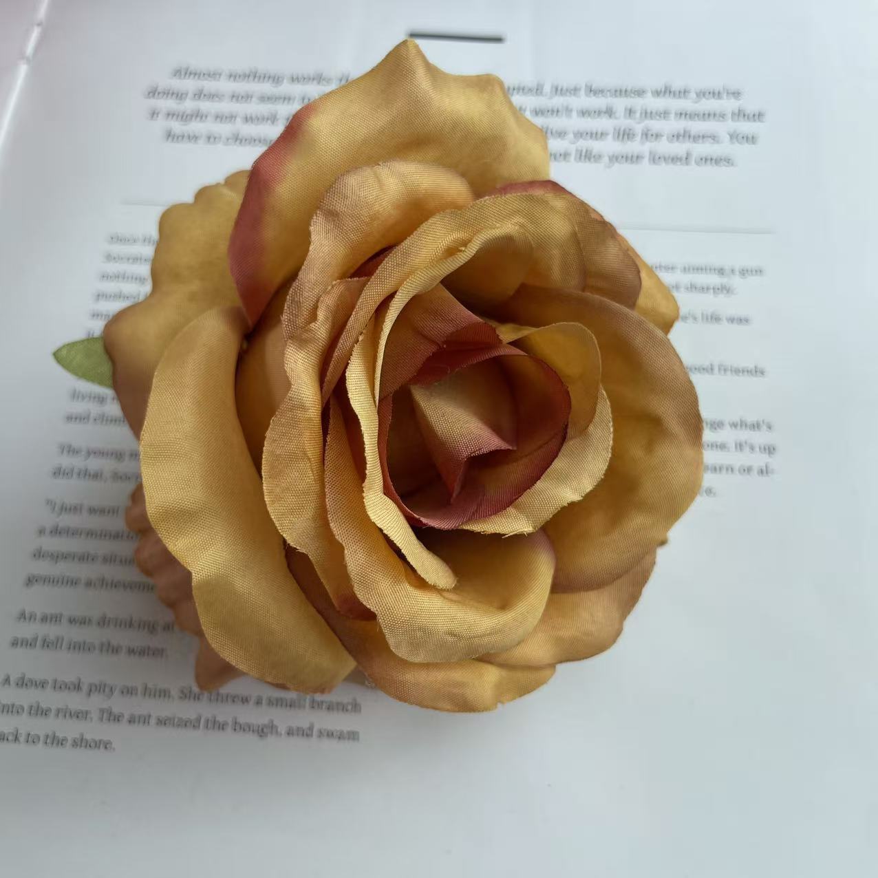 Anna gran rosa cabeza de fábrica al por mayor flowerhead flower corona flower pared flower arrangement artesanía DIY