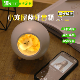 Creative night light, speakers charging, lights, Birthday gift, bluetooth