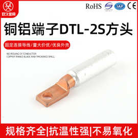 电缆铜鼻子铜铝端子DTL-2S方头 固定连接电缆铜接头接线端子