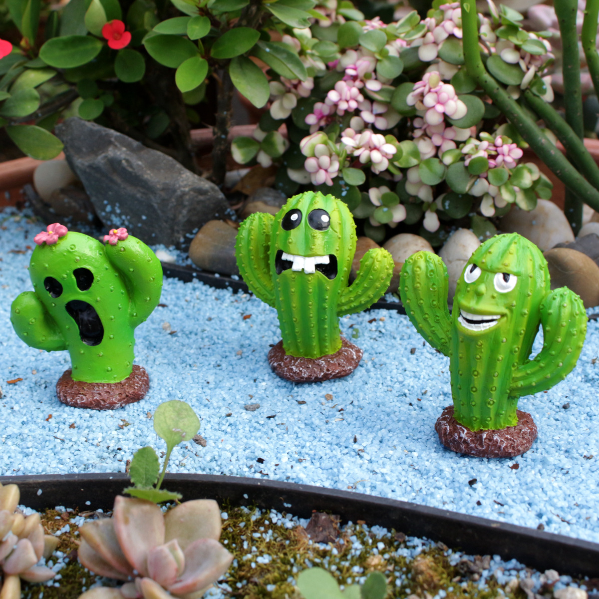 Garden Cactus Monster Set Three Small Ornaments Flower Bonsai Ornaments Fleshy Moss Micro Landscape World Landscape