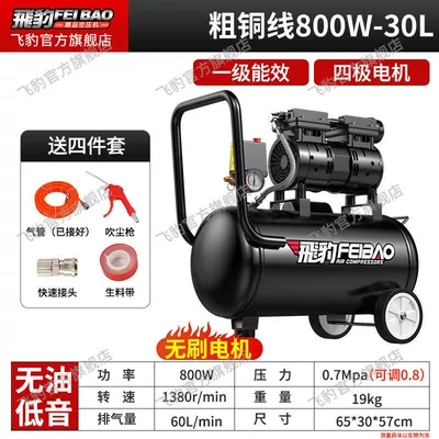 Air Pump 220v Household Oil-free Hava kompressorları - thick-copper-wire-800w-30-liters-free-four-piece-set