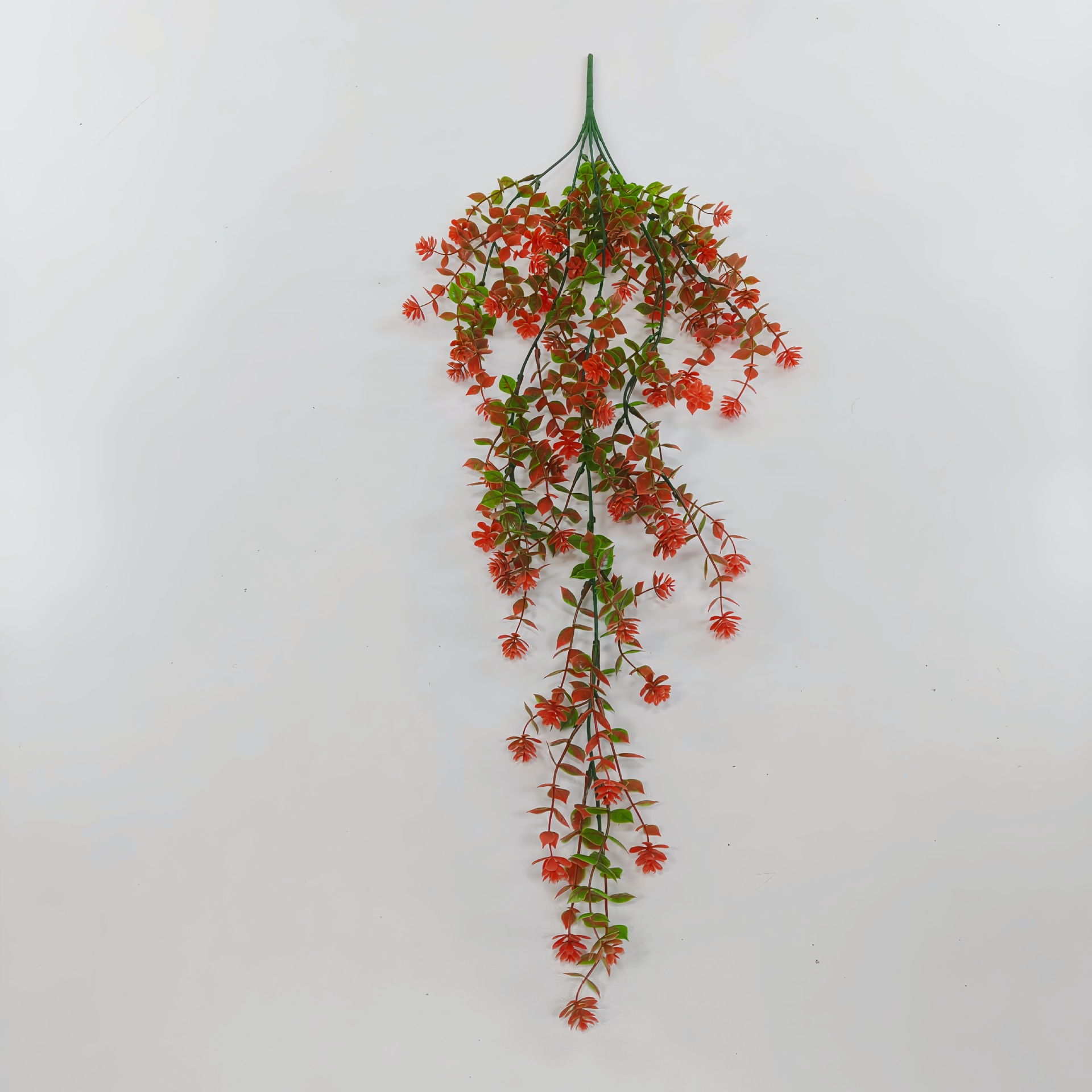 선셋 레드