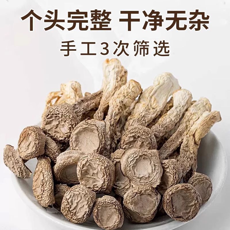 鹿茸菇干货特级500g 特选鹿茸菌古田特产饭店酒店干锅鹿茸菇专用|undefined