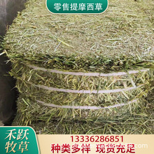 零售提摩西草段25公斤北提草 兔子龙猫豚鼠荷兰猪宠物饲料干牧草