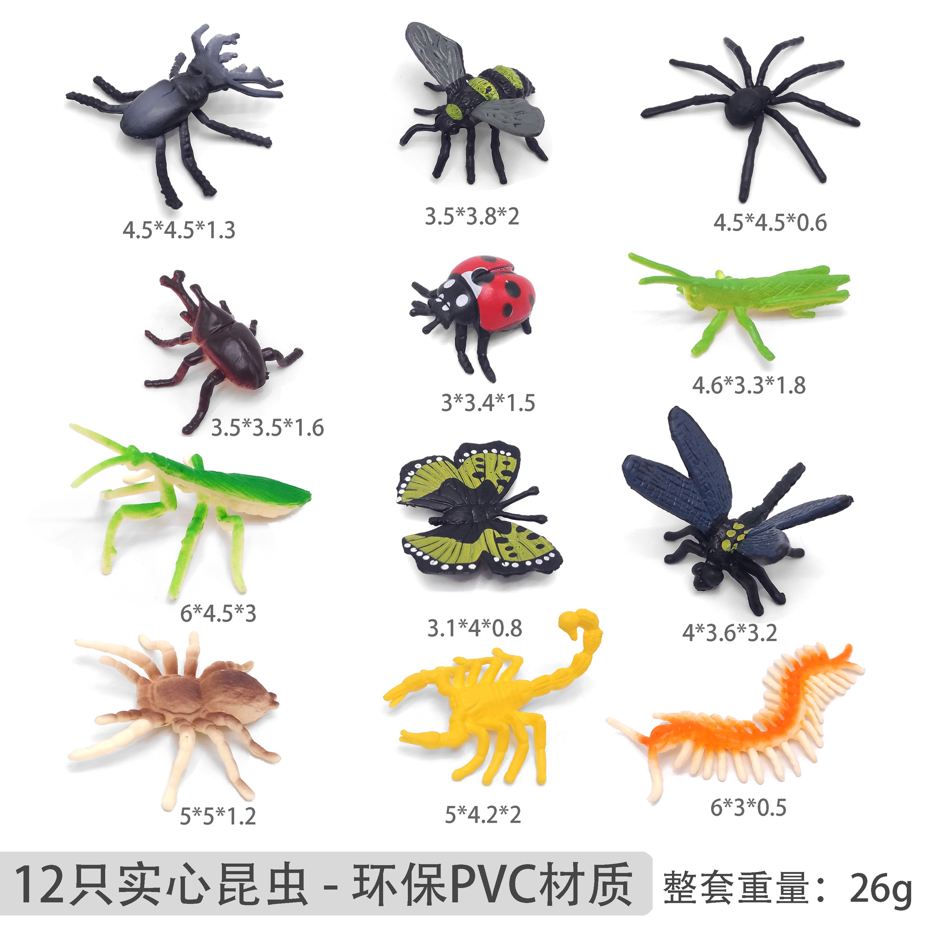 12 새로운 곤충 [가방]