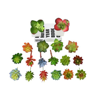 ���lʯɏ���^��ɏ����ɏ�J�C�������ֲ��GֲС�辰�Ҿ��bzӰ