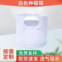 ��ɫ�Nֲ�����ݻ��������Bֳ��ֲ �o����ë��������AͲ���LͰ