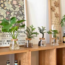 ����ˮ��ֲ�ﴺ���F��lؔ���҃��k���ҾGֲС���Ժ��B�׻��