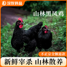 ���ں��P�u�r��ɽ��ɢ�B�ߵ��u��ë�u���uĸ�u���r�F����ֻ�Ҝ�