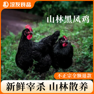 ���ں��P�u�r��ɽ��ɢ�B�ߵ��u��ë�u���uĸ�u���r�F����ֻ�Ҝ�