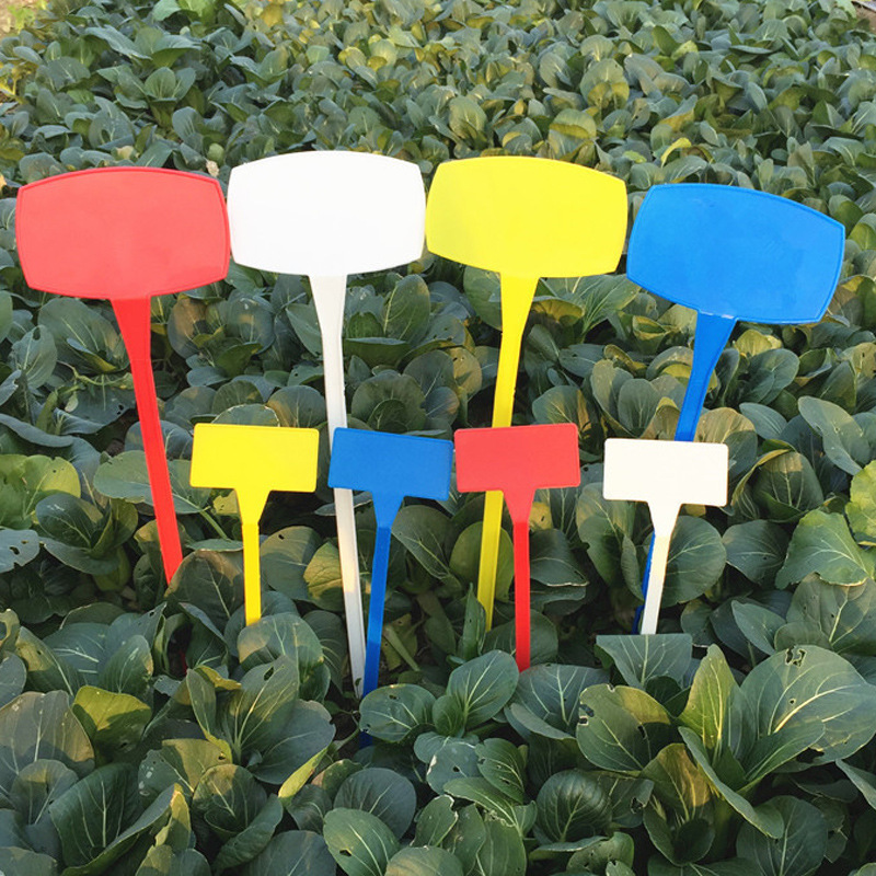 10599430732_1103001928