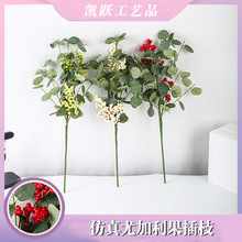 �羳��ʽ���������ȼ�������֦����~�ٗl�ۺϹ��{���ٗl�b�����