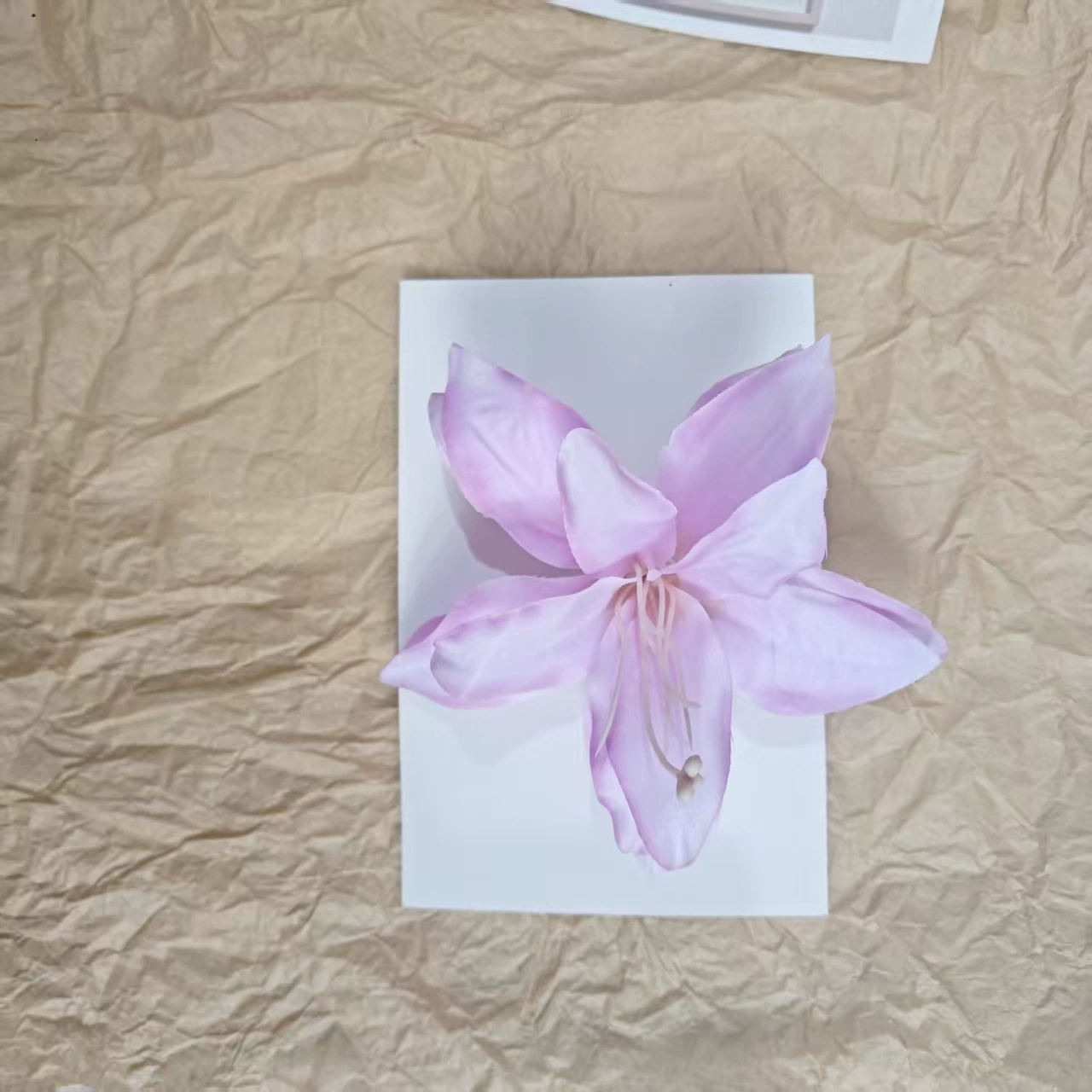 Hairgrip floral clips, princess French-style phalaenopsis & plumeria, multi-size duckbill & pins