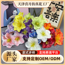 �羳���Q3�^3D�����㻨���滨 ��c����·���廨�ٻ���Y�b�ˇ