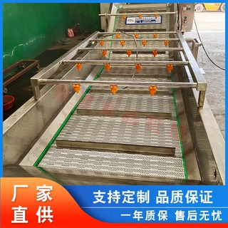 定制 全自动小龙虾清洗机 龙虾加工设备清洗机 毛辊龙虾清洗机