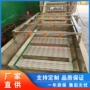 定制自动小龙虾毛辊清洗机