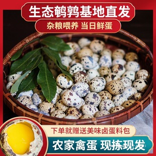 ���r0���]�g����50ö���r�羳25ö���l�����l�r��10�s�Zι�B50