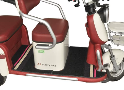Electric vehicle foot mat, Jinpeng, Xiaoniao, Jinpeng, Daima - snow-silk-black-front-back