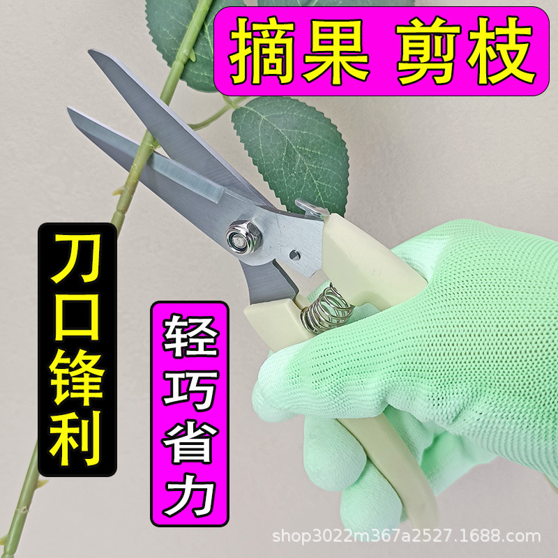 德奥不锈钢尖头修枝剪园艺剪刀摘果剪葡萄剪稀果剪子花枝剪细枝剪