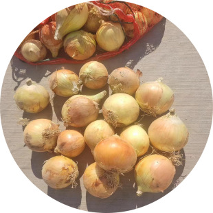 �S���[8�������ϳ����n���ձ����C�a��Ƥ��Ƥɫ�þW���b���[