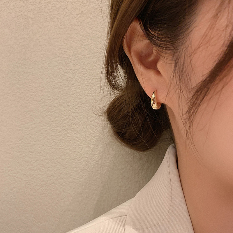 Korean Style Metal Circle Earrings display picture 4