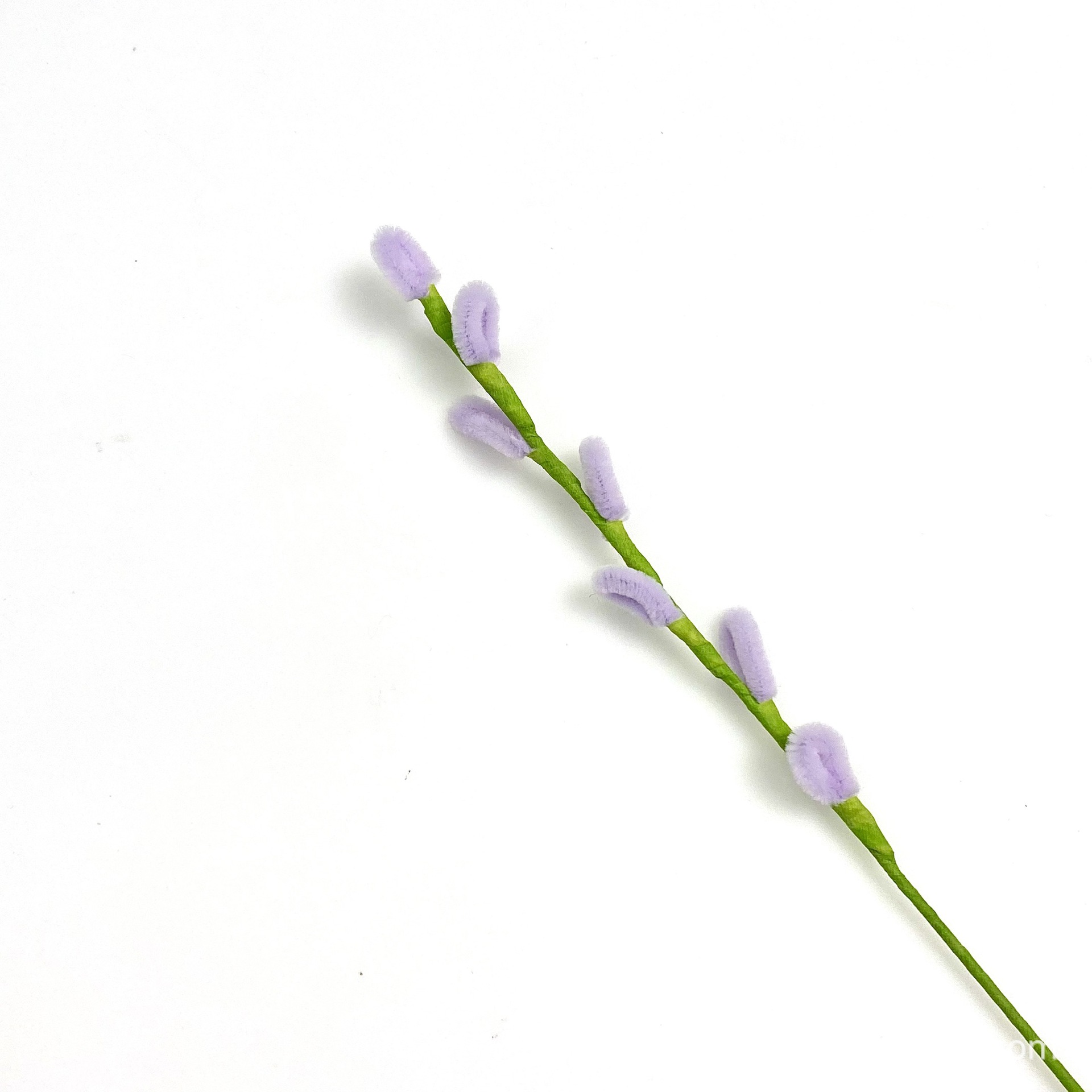 은버드【연보라색】