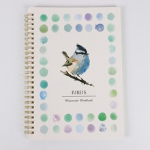 �羳��Ʒ WATERCOLOR WORKBOOK ˮ�ʌ�����ɫ�� ˮ�ʉTɫ�����İ�
