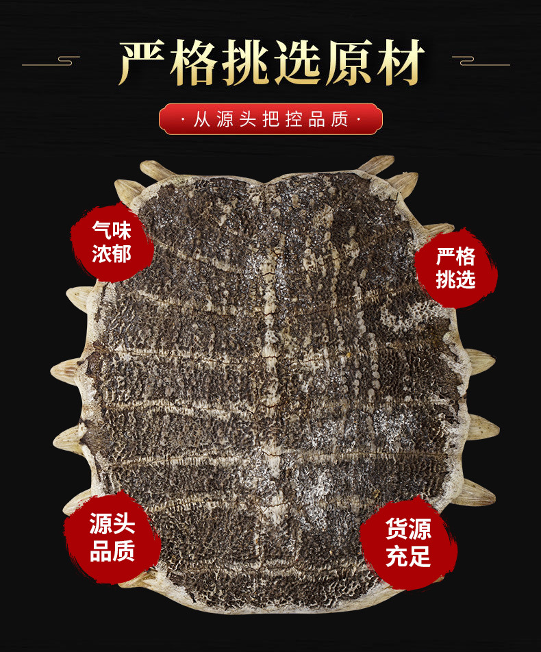 Bie Jia (Trionyx sinensis Carapace) — Vinegar-Processed Soft-Shell Turtle Shell, Dried TCM Herb key features