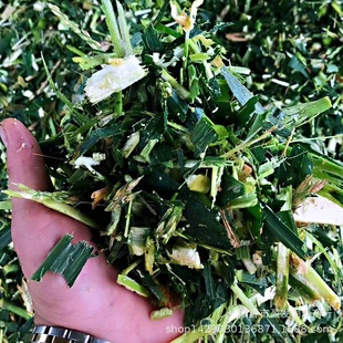 �F������ �F�����A���� ţ��� ιţ���� �݉K �r�� �ݰ�  ���