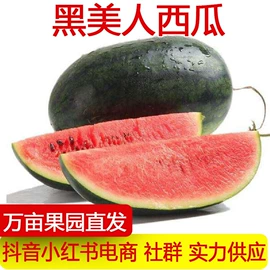 其他水果;柑桔;梨