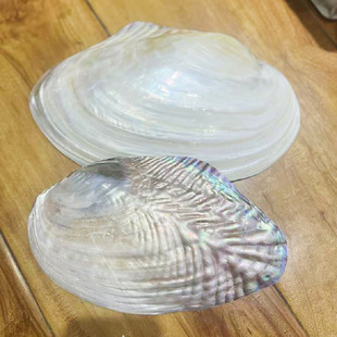 ���l�����������Ȼ����ؐ���Ĕz���߼Ҿӄ����ղؔ[�����ͱP�b�