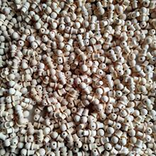 �S�ҹ��� �ƺ��Jľ���ƺ��J����ƺ��J�ú��J�ƾ����