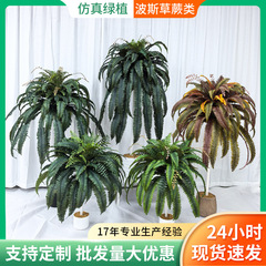 シミュレーション緑植盆栽シダ類ショーウインドー装飾装飾シミュレーション植物偽緑植尖尾ペルシャ草装飾装飾置物