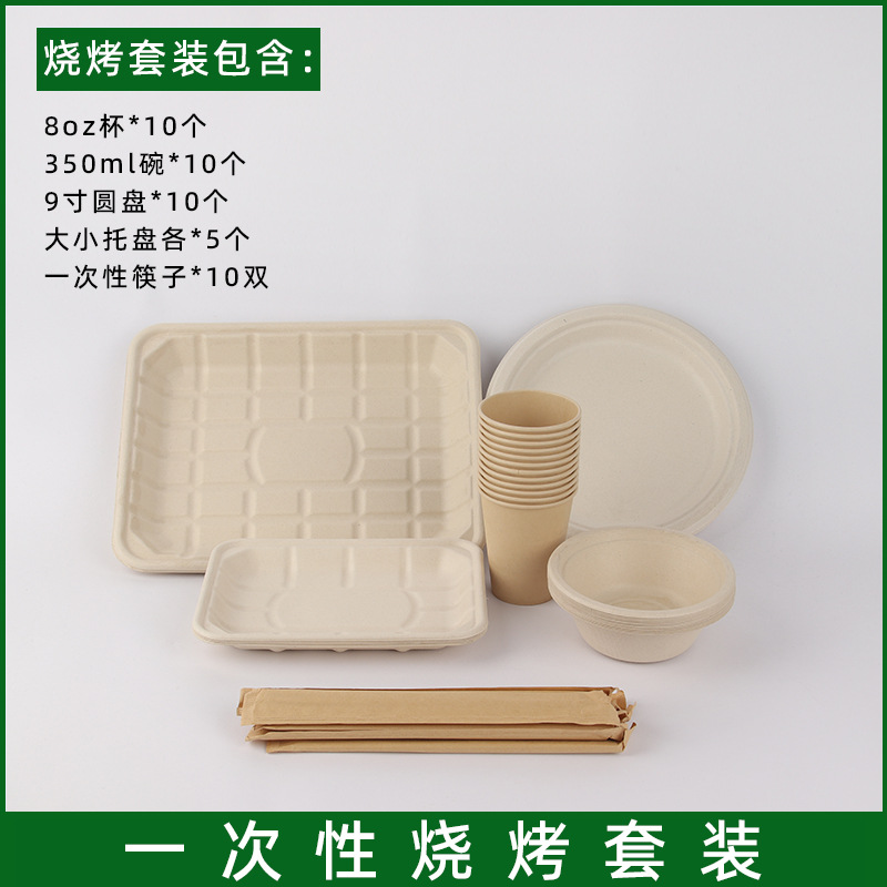 Desechable pulpa degradable plato palillos taza barbacoa plato picnic al aire libre plato de hueso Pulpa de caña de azúcar plato de fruta