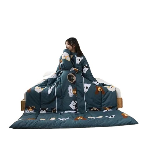 New lazy quilt pillow quilt multifunctional all-in-one cartoon print thickened warm autumn and winter gift pillow wholesale