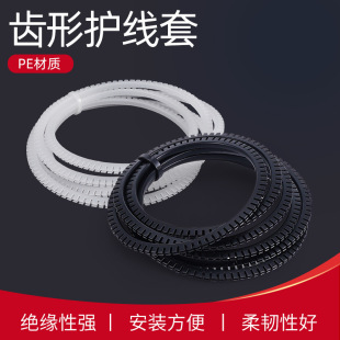 KG�X���o���� �o���X �����o���� ���ɽ^�����o�� ���o��