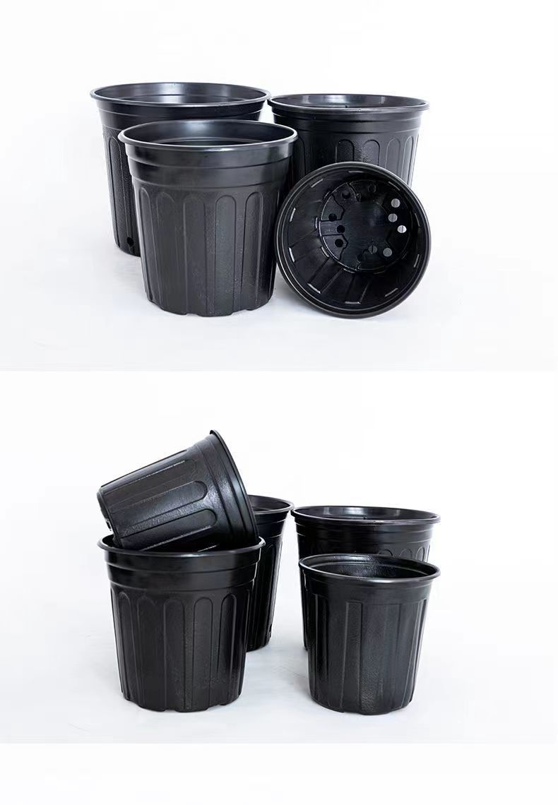 8323158c-0e73-4022-8a9e-c4f2fbda9b25.jpe