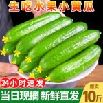 水果黄瓜新鲜生吃小黄瓜青瓜10斤时令蔬菜即食白玉女旱黄瓜苗整箱