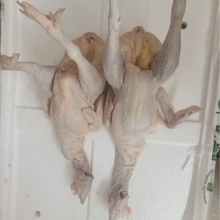 ����꺣���Ĳ��u��ֻ���u�F��Ҭ���uɢ�B���u�ߵ��u������u�u��