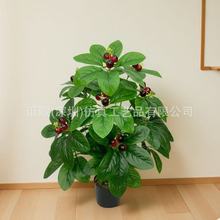 �羳����Gֲ18�^�lؔ������ľ�ָ��z�~�٘�ٻ��͏d�̈��b[��