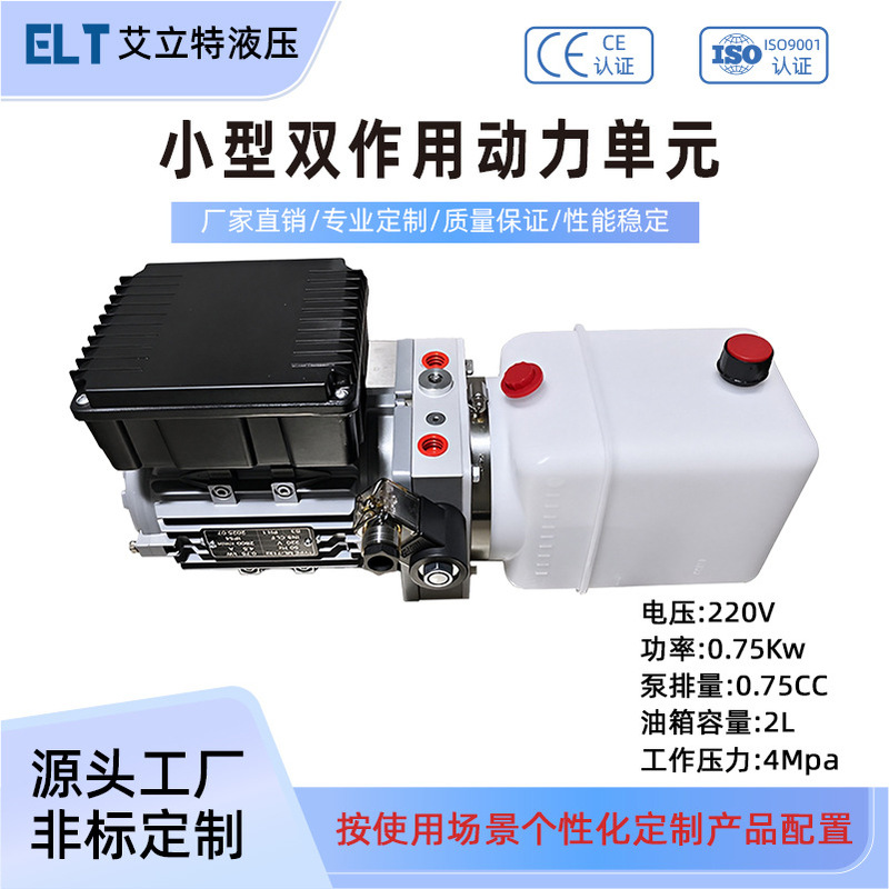 220V Dual-Action Power Unit Small Ac Hydraulic Pump Station Assembly Lift Platform Unloading Platform Oil Pump Manufacturer
