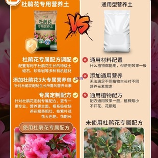 �N���N�������϶��N���I�B���B��ͨ����������������