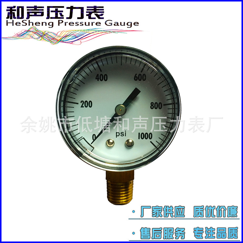 ����������Ӧ����ѹ����Y50����10BAR��ͨѹ������ձ���ѹ��