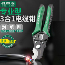 A ̨31๦|Q|늹늾QƤQƤ