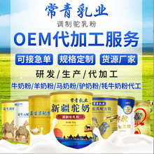 新疆骆驼奶粉内蒙古驼乳粉学生成人中老年奶粉工厂代加工批发
