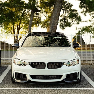 Models Mp Front Lip Front – Big Surrounded