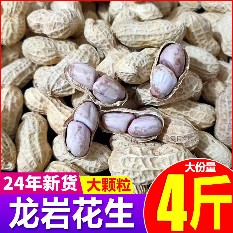 オリジナル塩漬け乾燥ピーナッツ塩水煮天日干し龍岩農場2024五味白天日干し殻付き広東省50yn|undefined