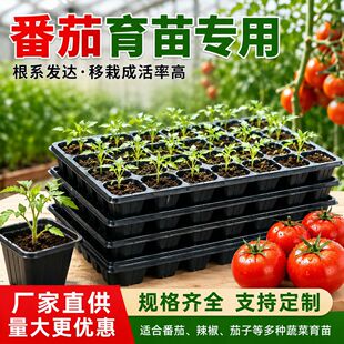 �I�B������P������Ѩ�P���ϱ�����Nֲ�������NǤ��I�B�������