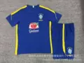2627 brazilian denim training set